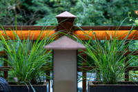 WEB-_A1_4035-Enhanced-NR