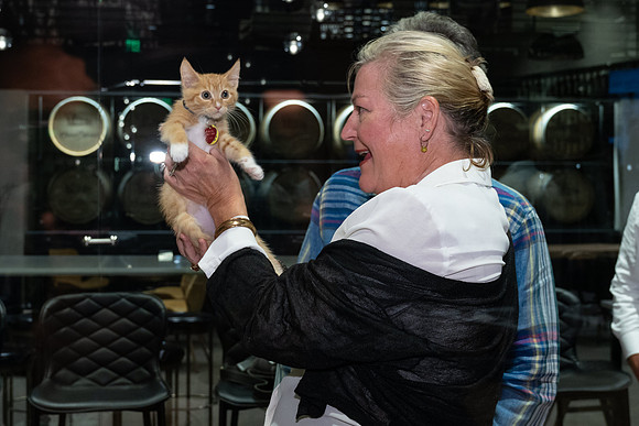 _R3_0897-Seattle-Event-Photographer-Mike-Nakamura-Photography