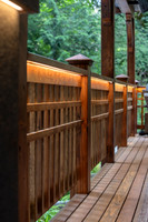 WEB-_A1_4047-Enhanced-NR-d